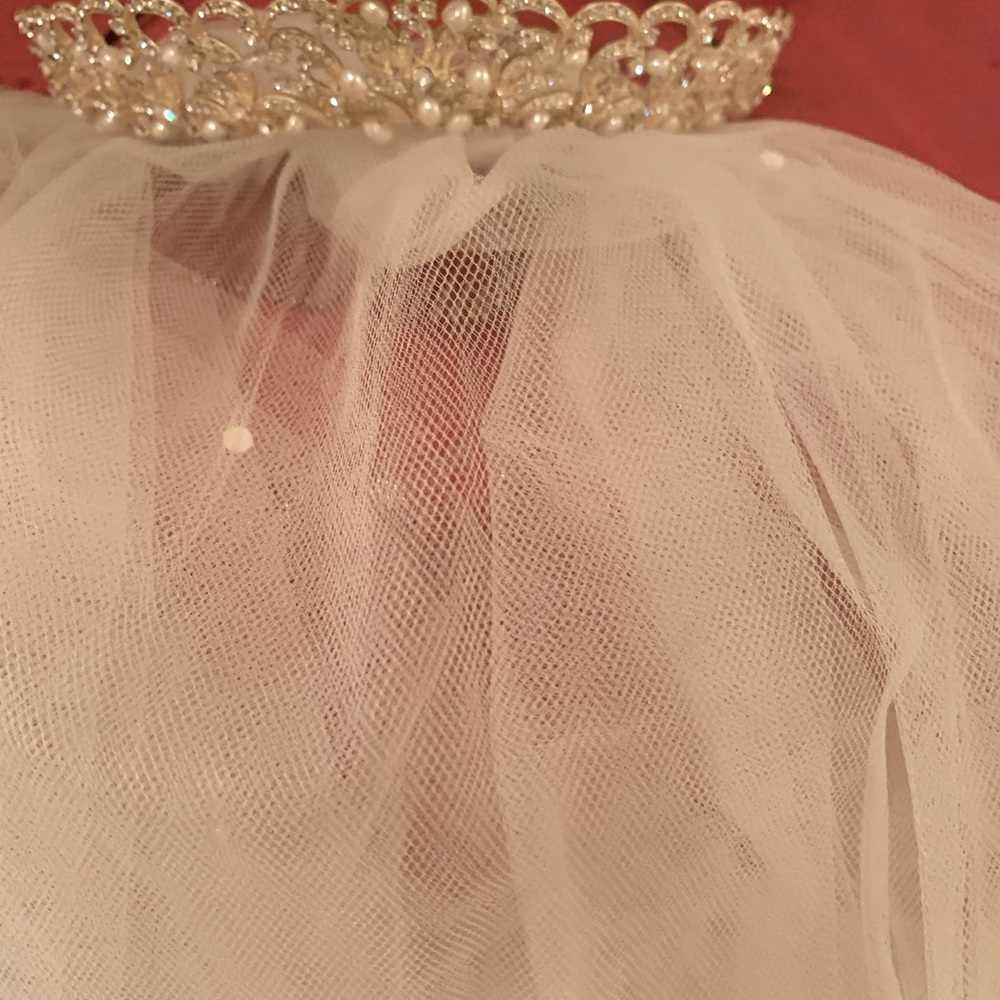 Wedding Veil and Tiara